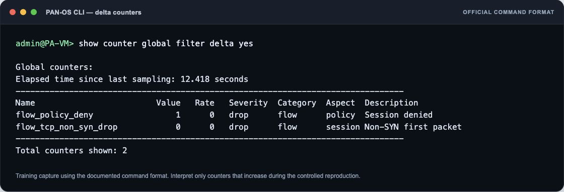 PAN-OS global delta counters CLI training screenshot